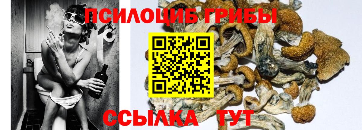 Тихорецк  Псилоцибиновые грибы мицелий  Вход с VPN 